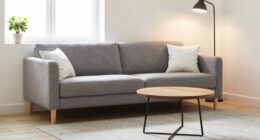 minimalist small living room