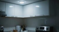 poor small kitchen lighting