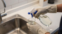 10 Best Cleaning Vinegars in 2026