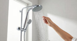 15 Best Shower Heads in 2026