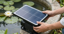 15 Best Solar Fountain Pumps in 2026