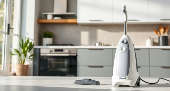 How to Clean a Bissell Little Green Safely & Effectively