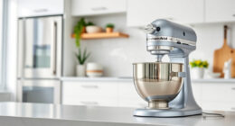 How to Clean a KitchenAid Professional 600 Mixer Safely