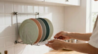 13 Best Plate Holders for Storage in 2026