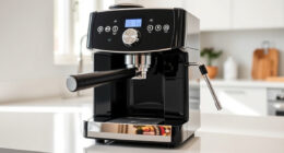 Best Breville Milk Jug & Accessories in 2026