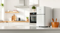 COSORI Air Fryer Maintenance: A Practical & Safe Guide