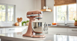 KitchenAid Stand Mixer Leaking Oil: Causes & Fixes
