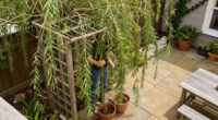 Not Fences Or Screens: Add Privacy To A Backyard With An Old-Fashioned Solution