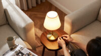 The Lamps In My House