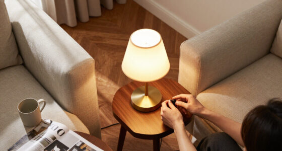 The Lamps In My House
